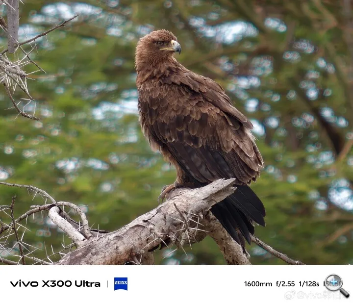 vivo-x300-ultra-1600mm